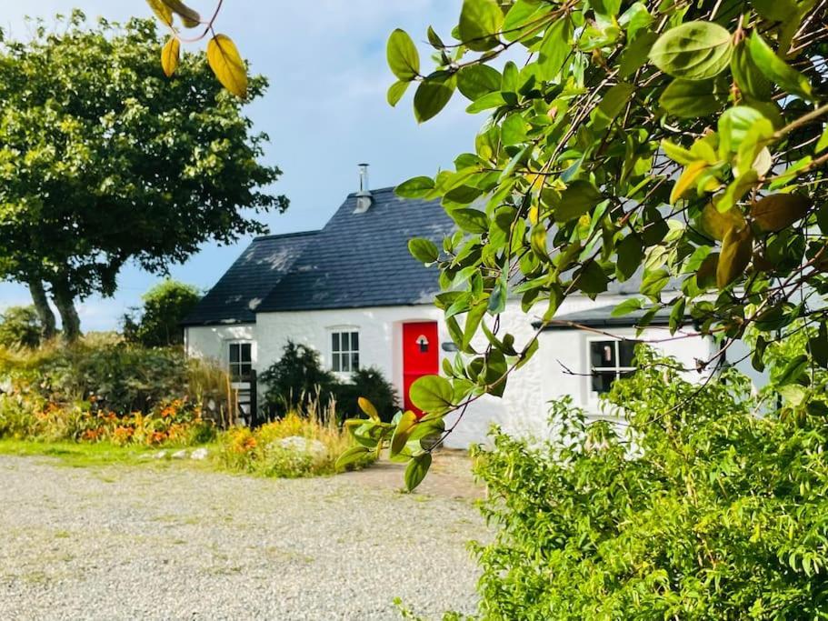 The Dairy @ Trefechan Wen Goodwick Kültér fotó